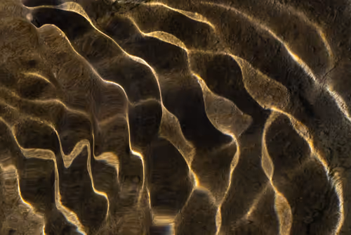 Item #81441334517361708208394031135700195474624799851237506988747108116230806962177 Media