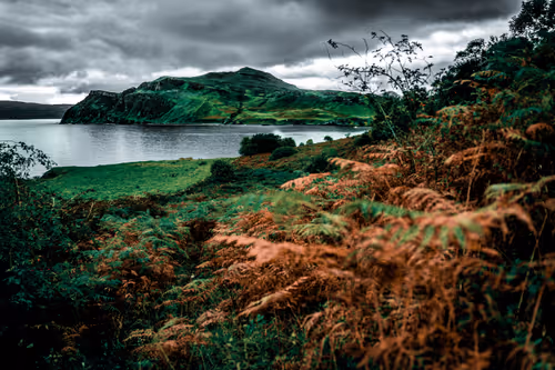 Item #102605457928241104048743295403602397884780439289049187283366587332535661887489 Media