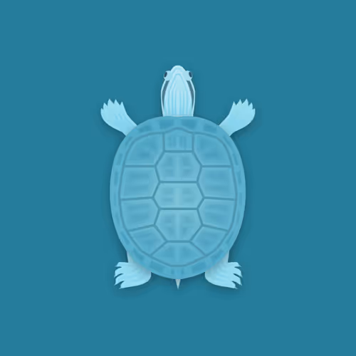 Item #66435702535477226501819246045851161731448405662174383906893724536442045071361 Media