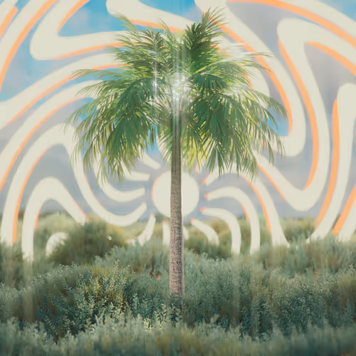 Item #69470883098394707172204431610548829416991906410916875650604554544289616494593 Media