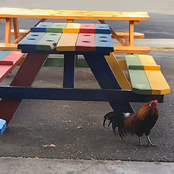 Table Reserved
