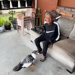 ducko#2