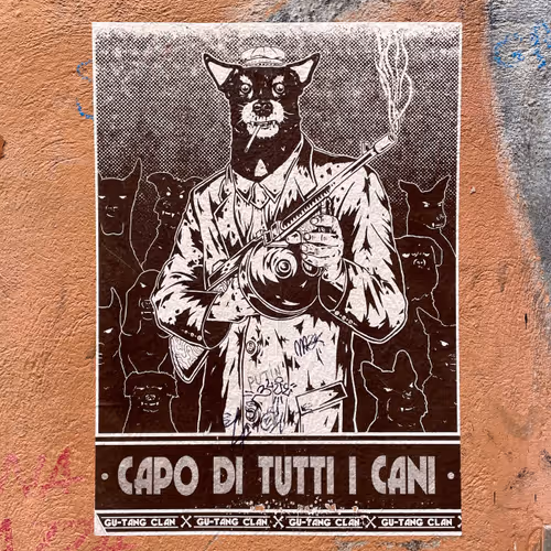 Item #115382872246900266503953808513046119655852257114363126503850272333950898667521 Media