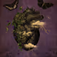 Dark Heart