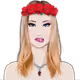 NFTCharacters1 Collection