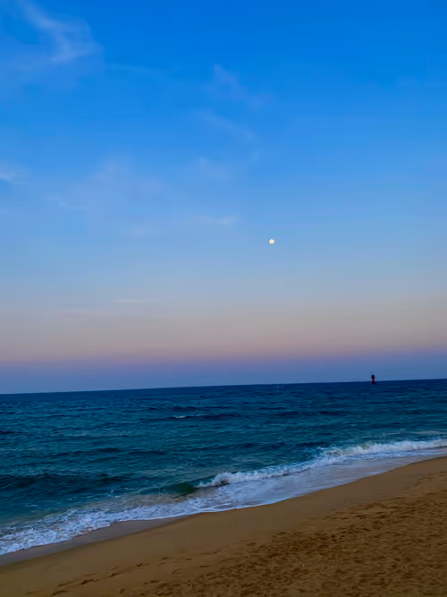 Item #93595123335427177115035649409809426481929941394150646237552609209994977476609 Media