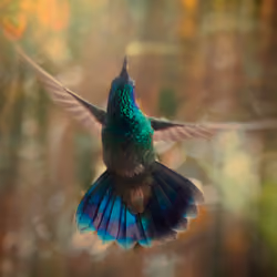 Dance With Me