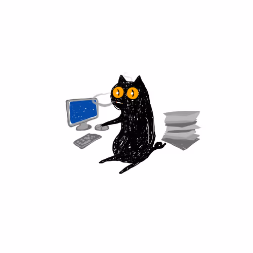 WTFOFCAT Collection - old V2