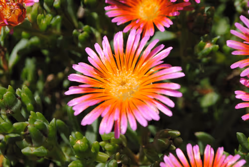 Item #40090172695085413256965535555586358742660933280315103792741764889963346788353 Media