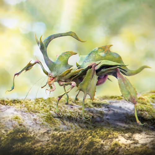 Item #64820935923896147261894658532669847997964443952729136811082819393181808852997 Media