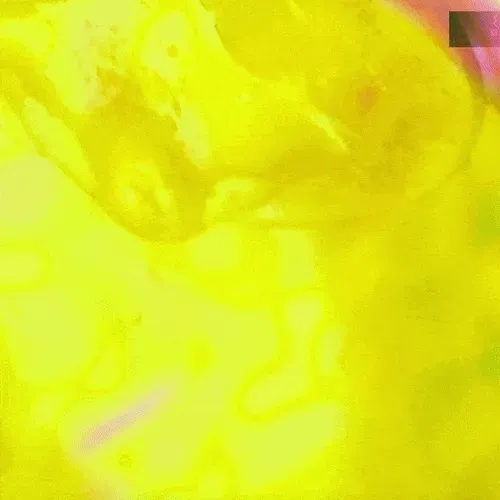 Item #90620065648373492361643371258411398171299878378245602300281469717377080885249 Media