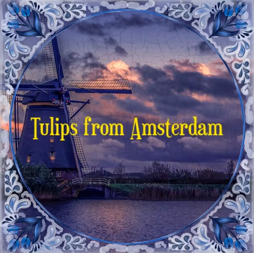 Dutch Windmill #0014