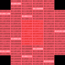 53279368379505711734095362482097305569505027238265225967375504711698870173697