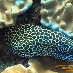 80965803268169370603932631570667161375508893671094224909166963934697900474369