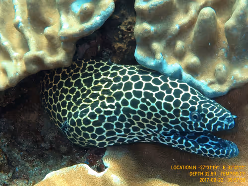 Item #80965803268169370603932631570667161375508893671094224909166963934697900474369 Media