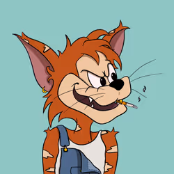 Mr. Mad Cat 62