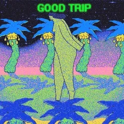 HIGH GAL TRIP [Collab]