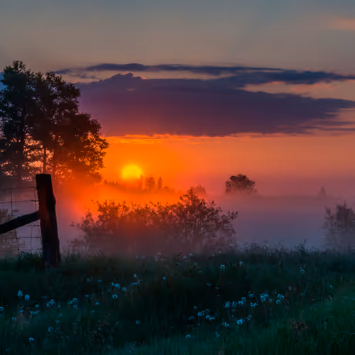 A Perfect Day Photography Exhibition