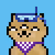 111598656821337276191636497877280569365598901253137801137061318800771452502017