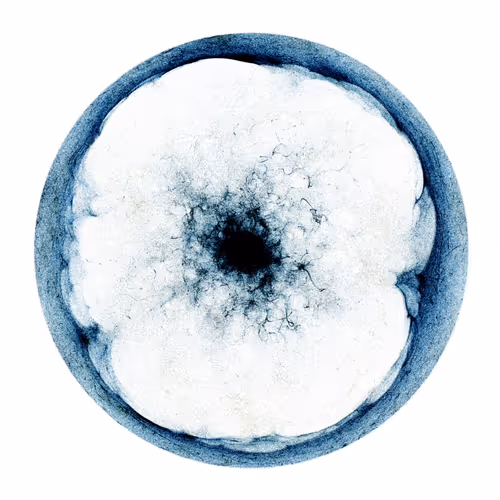 *** PERSONAL SAVED WORKS ***