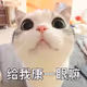 rrr9