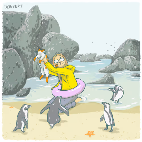 29972214146443989496988524382456534441577792513554853272215010526037599584257