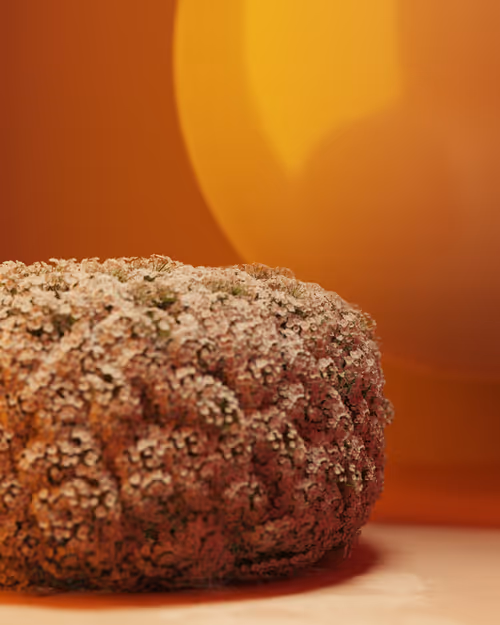 Item #18318711942719305237616979652728276942577750643741427204232543831787288133633 Media