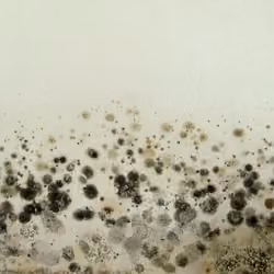 Ungoverned Chaos