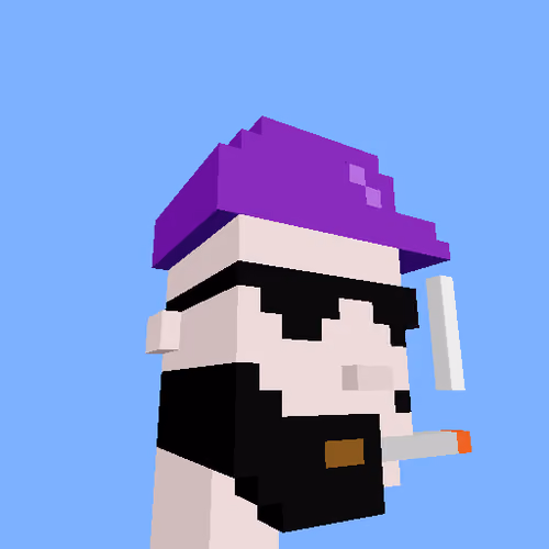 PunkVoxels #2901