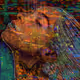 77138663423449677582257652425699462546593195467764639547039555114751167037460