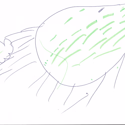 Children Drawings Collection
