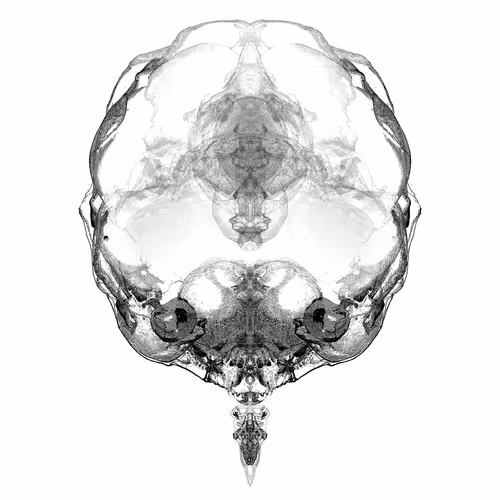 Item #85859191866638808365331437874953228966785819470149775310971062999832598675457 Media