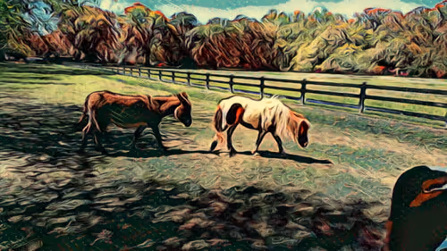 Item #40767780505199480056822134959254116882416403955440335398043331430134696640513 Media