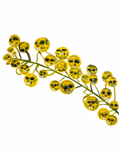 Item #69430838204844007640929930896662390536474801311847444827586886687305551052801 Media