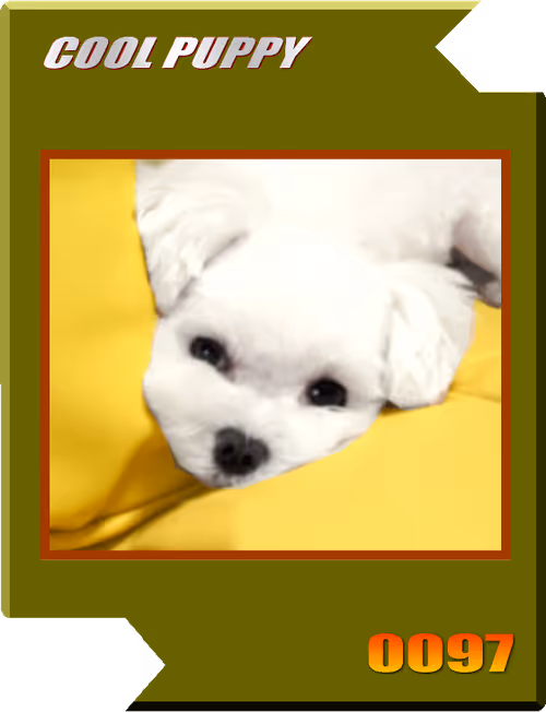 Item #21477548388787063266658748687199700189937005018840532589754440465687133552641 Media