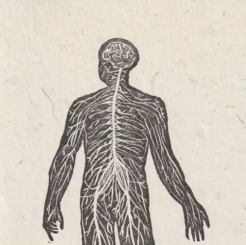 Item #61684408516102652291072427161593149596735809739114803432175219010659501998081 Media