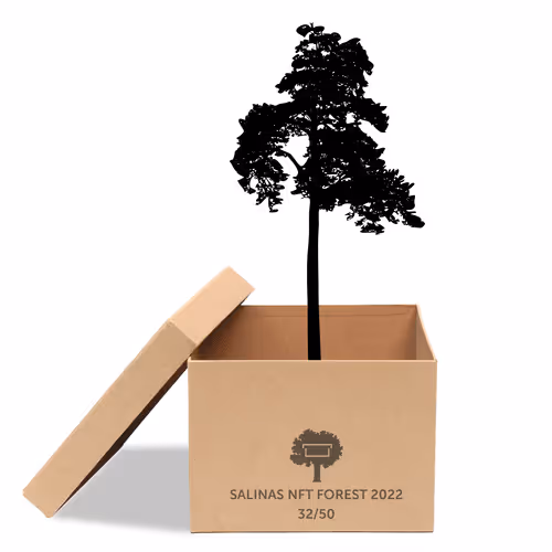 Item #63532776318757439562276927313719991273687356279339277108967620973924838277121 Media