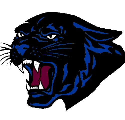 Panther of BFHS