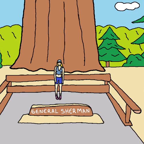 73365320880025007930587014715152096537770282630028650007191066443948771770369