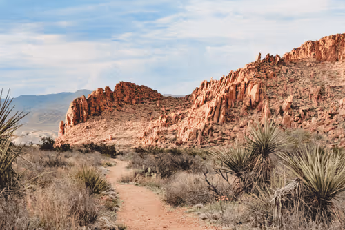 Item #42956466618878321387532578261577756492161920653755194423256676460425518252033 Media