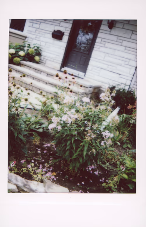 Item #106002358755633072780688393344306535131574018413591107715624238114121036333057 Media