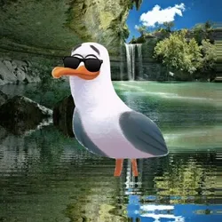 Bored Seagull Club- Hamilton Pool Seagull