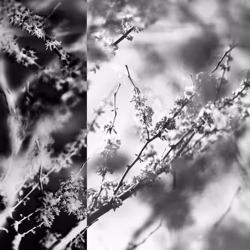 Item #16242110343075384695976872511431893746584995890381912354078390074503856128001 Media