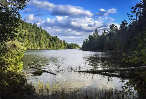 Item #78614967916850878758896281278088562819031429561597845143063368071776967852033 Media