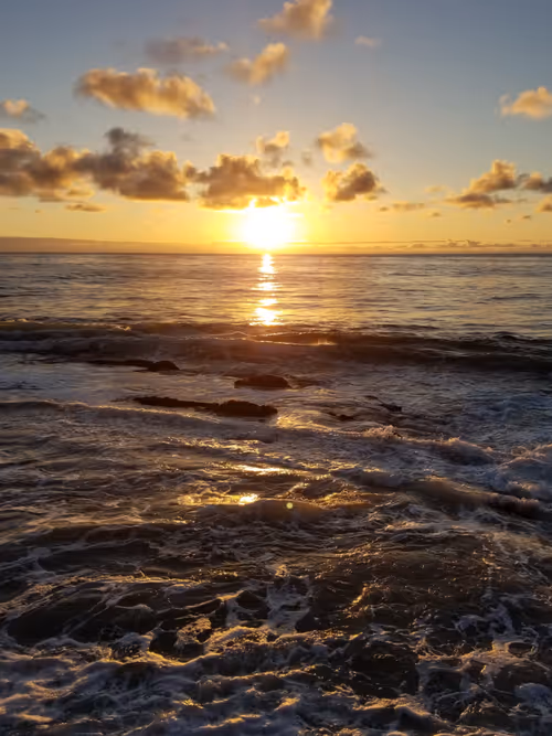 Item #36797478990227503802515544271343238965940869473164843468653790215137090600961 Media