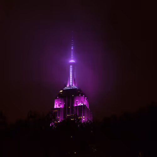 Purple Haze