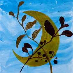 Lunar Sky