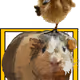 11956811942635422927171460162610099694714344402587762652016437336182414639105