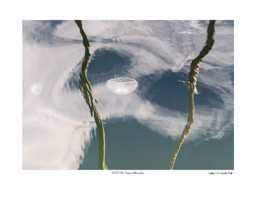 Item #24600310660482288606297797528155087939323639147399647196853483652335399862273 Media