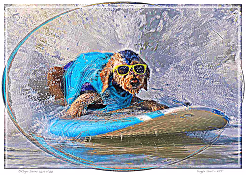 Item #11017776651197561377596972513232318538951070019919471549436519155622219874305 Media